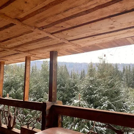 Gasthof ранчо в карпатах *