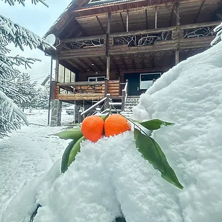 ранчо в карпатах