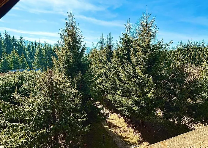 ранчо в карпатах Bukovel