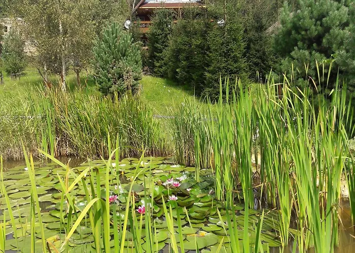 ранчо в карпатах Bukovel