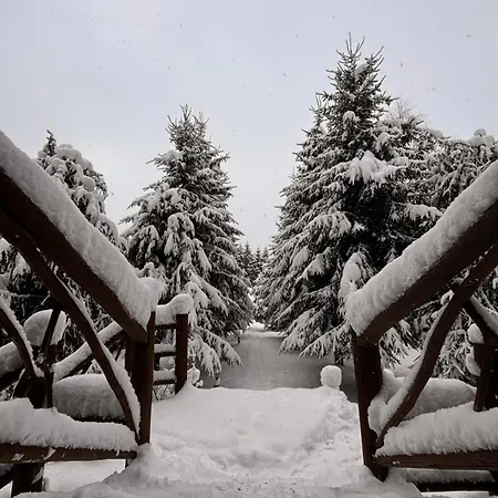 ранчо в карпатах Gæstehus *