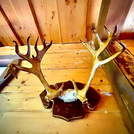 ранчо в карпатах *