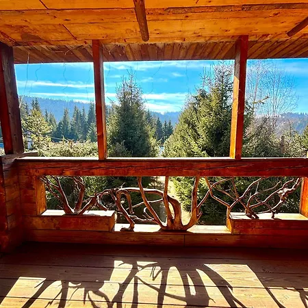 ранчо в карпатах Gæstehus