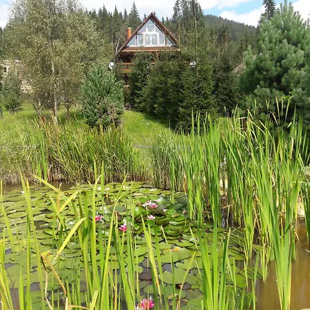 ранчо в карпатах Bukovel