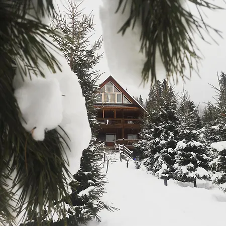 Gæstehus ранчо в карпатах *